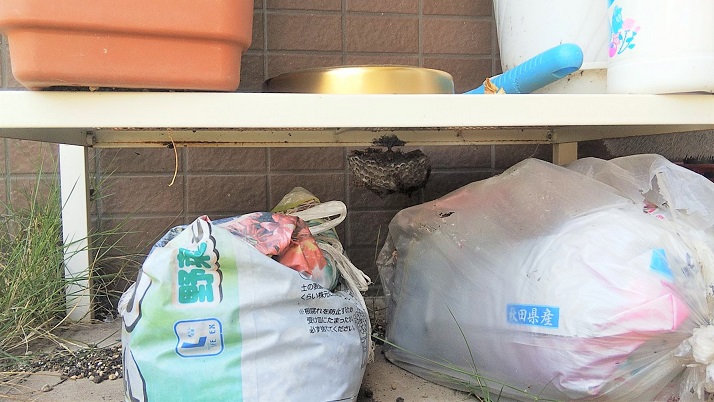 大阪府茨木市で屋外ラック下に営巣したアシナガバチの蜂の巣駆除