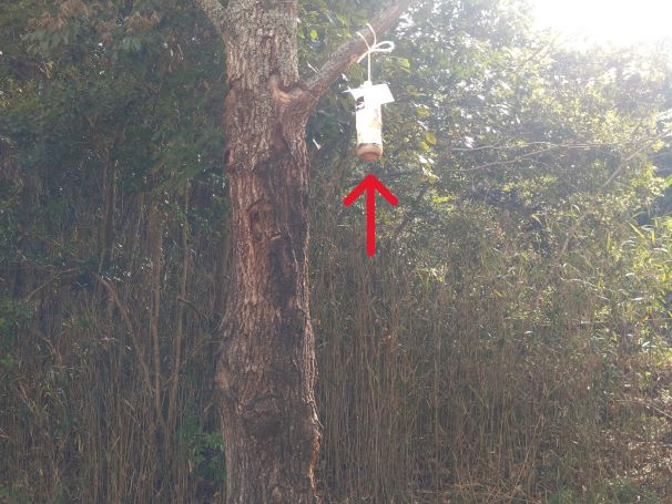 ハチ捕獲器 1