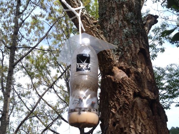 ハチ捕獲器 2