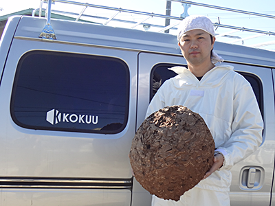 蜂の巣　駆除