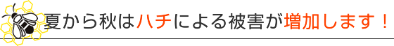 夏から秋はハチによる被害が増加します！