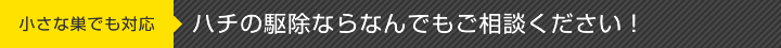 ハチの駆除ならなんでもご相談ください！