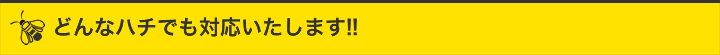 どんなハチでもご対応いたします!!