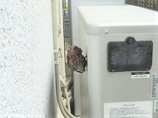 ㊱室外機裏アシナガバチ駆除滋賀県京都府