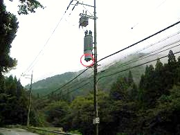 ⑭電柱トランス下キイロスズメバチ駆除滋賀県