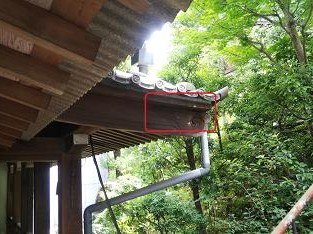 ㉓本堂の軒天裏キイロスズメバチ駆除滋賀県