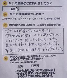 蜂　ハチ　蜂の巣　駆除　滋賀　京都　大阪　三重　福井　口コミ