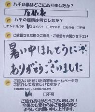 京都市　上京区　蜂　ハチ　蜂の巣　駆除　滋賀　京都　大阪　三重　福井　口コミ