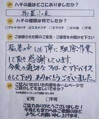 蜂　ハチ　蜂の巣　駆除　滋賀　京都　大阪　三重　福井　口コミ
