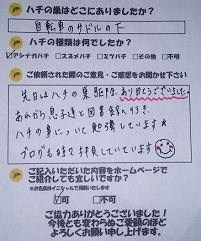 向日市　蜂　ハチ　蜂の巣　駆除　滋賀　京都　大阪　三重　福井　口コミ