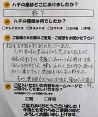 大津市　蜂　ハチ　蜂の巣　駆除　滋賀　京都　大阪　三重　福井　口コミ