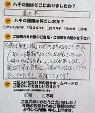 宇治市　蜂　ハチ　蜂の巣　駆除　滋賀　京都　大阪　三重　福井　口コミ