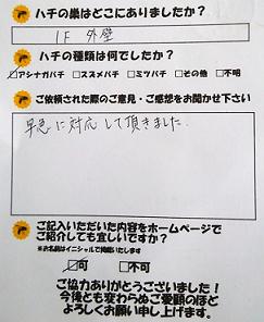 宇治市 蜂　ハチ　蜂の巣　駆除　滋賀　京都　大阪　三重　福井　口コミ