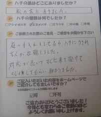 守山市  蜂　ハチ　蜂の巣　駆除　滋賀　京都　大阪　三重　福井　口コミ