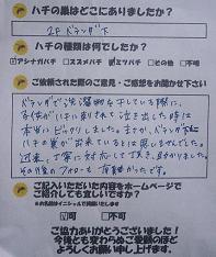 蜂　ハチ　蜂の巣　駆除　滋賀　京都　大阪　三重　福井　口コミ