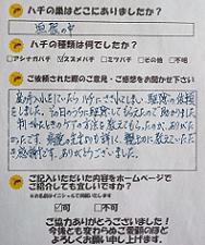 彦根市　蜂　ハチ　蜂の巣　駆除　滋賀　京都　大阪　三重　福井　口コミ