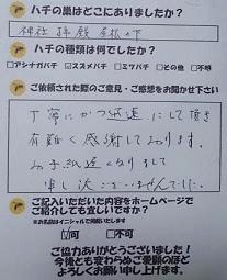 彦根市  蜂　ハチ　蜂の巣　駆除　滋賀　京都　大阪　三重　福井　口コミ