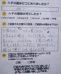 蜂　ハチ　蜂の巣　駆除　滋賀　京都　大阪　三重　福井　口コミ