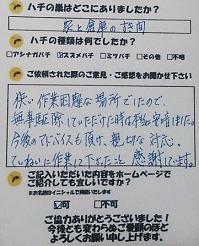蜂　ハチ　蜂の巣　駆除　滋賀　京都　大阪　三重　福井　口コミ