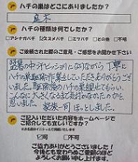 枚方市　蜂　ハチ　蜂の巣　駆除　滋賀　京都　大阪　三重　福井　口コミ