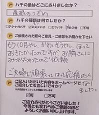 枚方市  蜂　ハチ　蜂の巣　駆除　滋賀　京都　大阪　三重　福井　口コミ