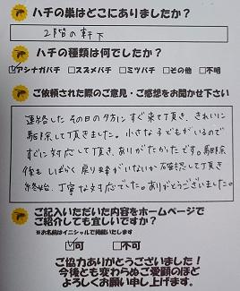 栗東市　蜂　ハチ　蜂の巣　駆除　滋賀　京都　大阪　三重　福井　口コミ