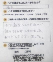 湖南市　蜂　ハチ　蜂の巣　駆除　滋賀　京都　大阪　三重　福井　口コミ