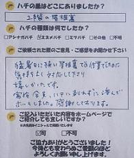 犬上郡  甲良町  蜂　ハチ　蜂の巣　駆除　滋賀　京都　大阪　三重　福井　口コミ