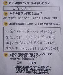 相楽郡  和束町  蜂　ハチ　蜂の巣　駆除　滋賀　京都　大阪　三重　福井　口コミ