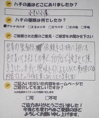蜂　ハチ　蜂の巣　駆除　滋賀　京都　大阪　三重　福井　口コミ