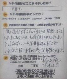 蜂　ハチ　蜂の巣　駆除　滋賀　京都　口コミ