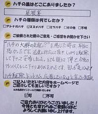 蒲生郡  日野町  蜂　ハチ　蜂の巣　駆除　滋賀　京都　大阪　三重　福井　口コミ