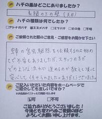 蒲生郡  竜王町  蜂　ハチ　蜂の巣　駆除　滋賀　京都　大阪　三重　福井　口コミ