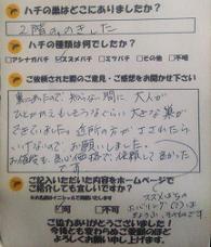 蜂　ハチ　蜂の巣　駆除　滋賀　京都　大阪　三重　福井　口コミ
