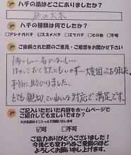 高島市  蜂　ハチ　蜂の巣　駆除　滋賀　京都　大阪　三重　福井　口コミ