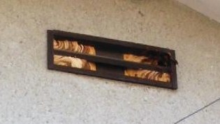 滋賀県大津市で１階の屋根裏に営巣したモンスズメバチの蜂の巣駆除