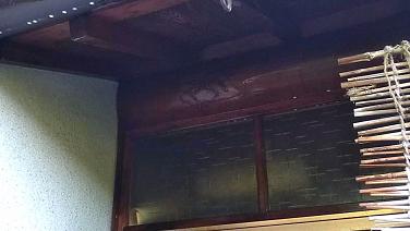 滋賀県大津市で１階軒下に営巣したキイロスズメバチの蜂の巣駆除