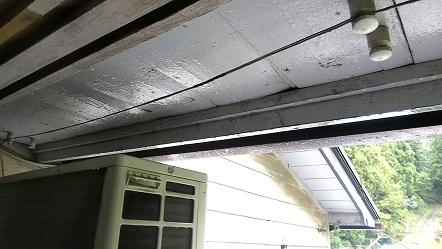 滋賀県大津市で2階軒下に営巣したコガタスズメバチ蜂の巣駆除