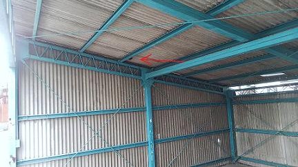 滋賀県守山市で駐車場の屋根に営巣したアシナガバチの蜂の巣駆除