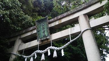 滋賀県彦根市鳥居の額束そばに営巣したキイロスズメバチの蜂の巣駆除