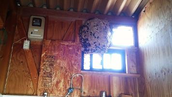滋賀県甲賀市水口町でプレハブ小屋内部に営巣したモンスズメバチの蜂の巣駆除