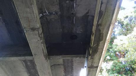 滋賀県米原市で橋梁の下に営巣したキイロスズメバチの蜂の巣駆除