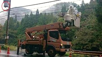 滋賀県長浜市で電柱の柱上トランス下に営巣したキイロスズメバチの蜂の巣駆除