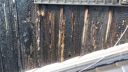 滋賀県高島市で2階外壁の中に営巣したモンスズメバチの蜂の巣駆除