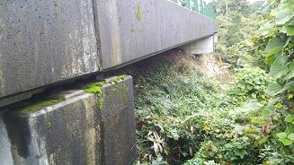 滋賀県高島市で橋梁の下に営巣したキイロスズメバチの蜂の巣駆除
