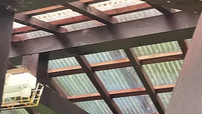 滋賀県蒲生郡日野町でキャンプ場内の屋外炊事小屋の天井に営巣したキイロスズメバチの蜂の巣駆除