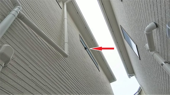 大阪府枚方市で２階窓下に営巣したアシナガバチの蜂の巣駆除