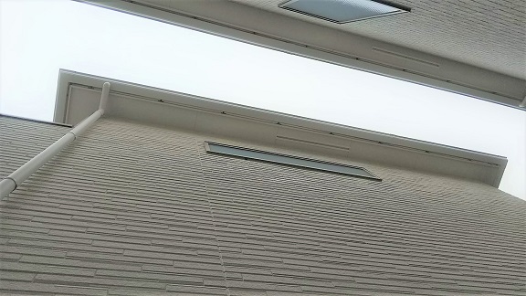 大阪府枚方市で２階窓下に営巣したアシナガバチの蜂の巣駆除
