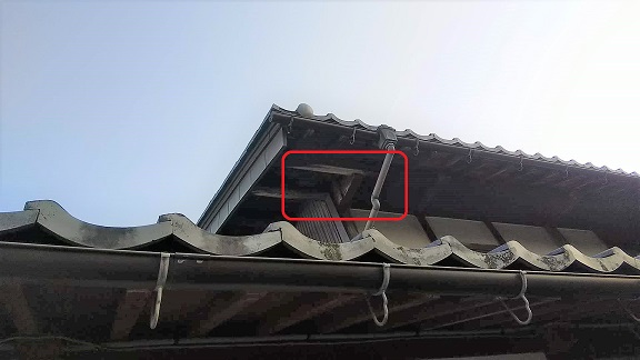 滋賀県米原市で２階屋根裏に営巣したキイロスズメバチの蜂の巣駆除