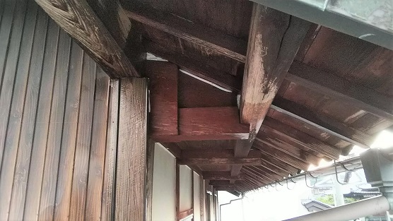滋賀県米原市で２階屋根裏に営巣したキイロスズメバチの蜂の巣駆除